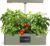 SUNCOZE Hydroponics Growing System Kit with 24W Dimmable Grow Light, 12 Pods Indoor Herb Garden with Timer & Local Time Setting, Adjustable Height, Smart Countertop Garden for Home & Kitchen, Green