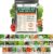 Open Seed Vault |15,000 Heirloom Seeds | 32 Seed Types | Survival Seeds | 2026 Season | Non GMO Vegetable and Fruit Seeds | Planting Outdoor & Indoor Garden