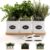 Herb Planter Indoor – 3 Iron Herb Pots with Drainage Holes, Varnished Bamboo Tray, Customizable Labels & Marker Pen – Indoor Herb Garden Planter – 3 Pots for Herbs – Inside Spice Garden – Basil Pot
