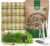 25 Most Popular Herb Seeds Variety Pack – 11,700 Non-GMO Heirloom Seeds for Planting Herbs in Individual Seed Packets for Hydroponic, Indoor & Outdoor Gardening – 2026 Season: Catnip, Dill, Thyme
