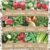 Organic Summer Seeds Variety Pack – 12 Individual Packs – 2026 Season – Basil, Tomatoes, Cucumber, Watermelon and More! for Indoor & Outdoor Planting (Non-GMO, Certified Organic)