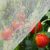 Unves 10’x20′ Garden Netting, Bird Netting Mosquito Mesh for Vegetable Fruits Plant Garden Protections, Plant Covers Bug Insect Net Pest Barrier Protect Garden Plant from Birds Bugs