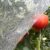 Ultra Fine Garden Netting 4’x10′ Plant Pest Barrier Covers Bird Patio Mosquito Netting Tree Vegetable Mesh Protection Netting Fruit Greenhouse Row Nets for Garden