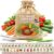 Culinary Vegetable & Herb Seeds Variety Pack – 30 Heirloom Non-GMO Garden Seeds for Planting, Seed Kit with Tools, Made in USA